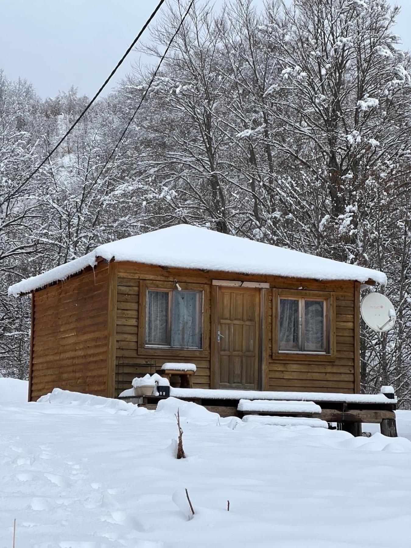 Villa Matesevo Guest Hauses à Kolašin Extérieur photo