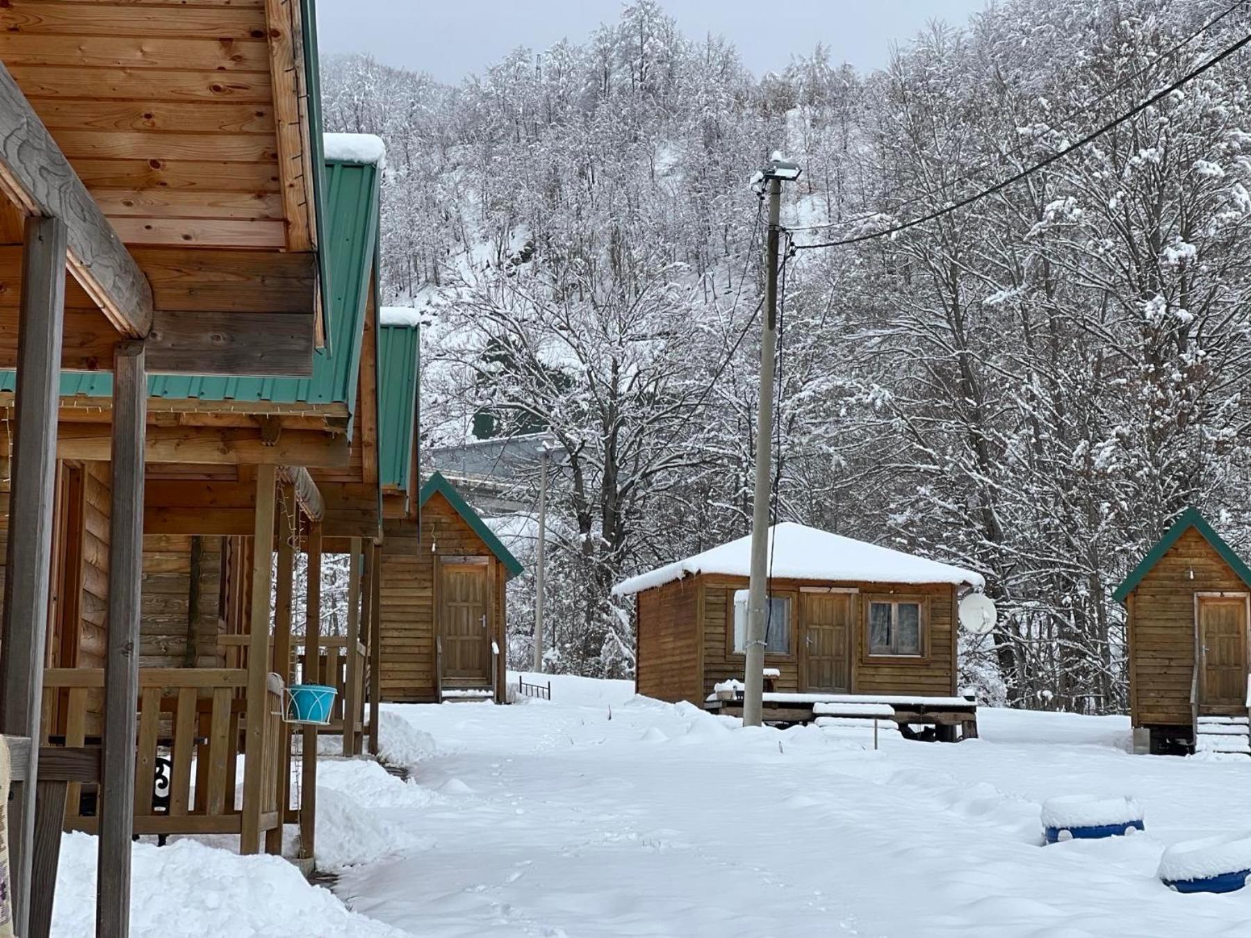 Villa Matesevo Guest Hauses à Kolašin Extérieur photo