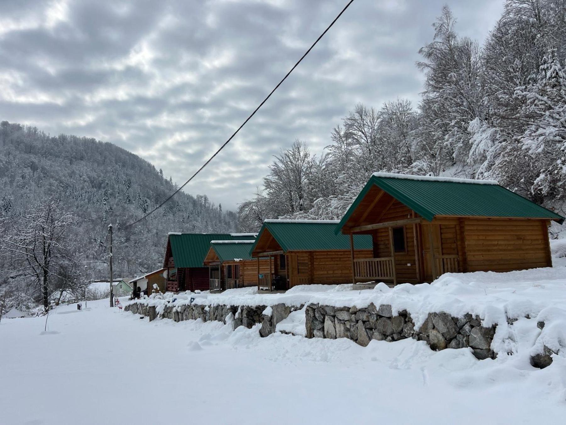 Villa Matesevo Guest Hauses à Kolašin Extérieur photo